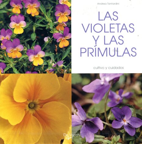 LAS VIOLETAS Y LAS PRMULAS . CULTIVO Y CUIDADOS