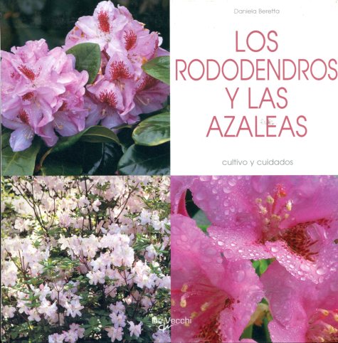 LOS RODODENDROS Y LAS AZALEAS . CULTIVO Y CUIDADOS 