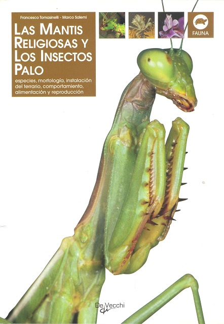 LAS MANTIS RELIGIOSAS Y LOS INSECTOS PALO 