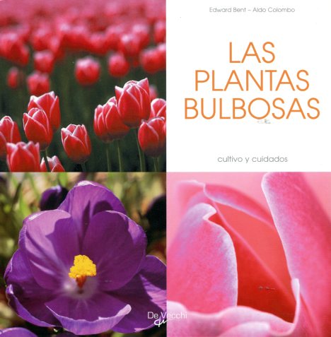 LAS PLANTAS BULBOSAS . CULTIVO Y CUIDADOS 