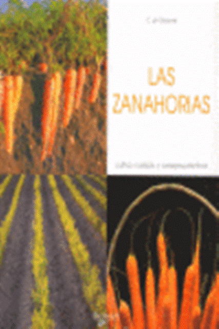 LAS ZANAHORIAS . CULTIVO, CUIDADO Y CONSEJOS PRCTICOS 