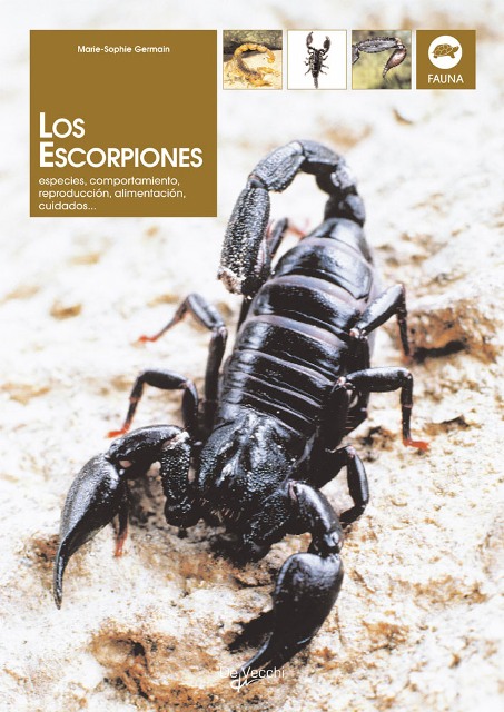 LOS ESCORPIONES . ESPECIES, COMPORTAMIENTO, REPRODUCCION, ALIMENTACION 