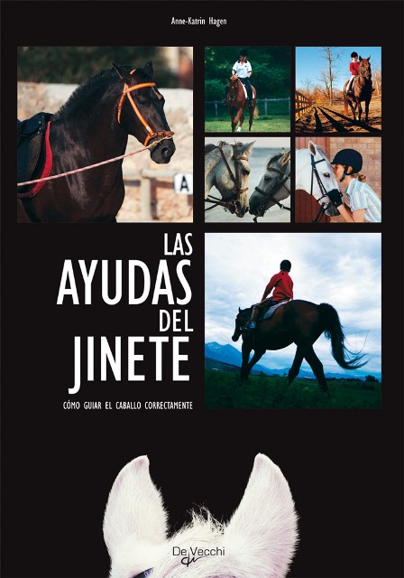 LAS AYUDAS DEL JINETE 