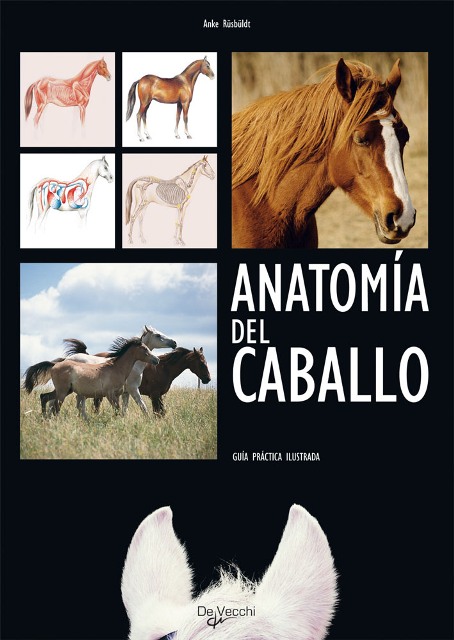 ANATOMIA DEL CABALLO . GUIA PRACTICA ILUSTRADA