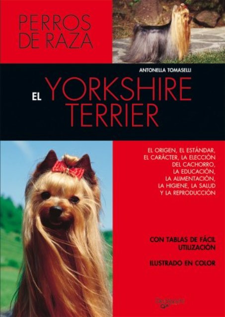 EL YORKSHIRE TERRIER . PERROS DE RAZA 