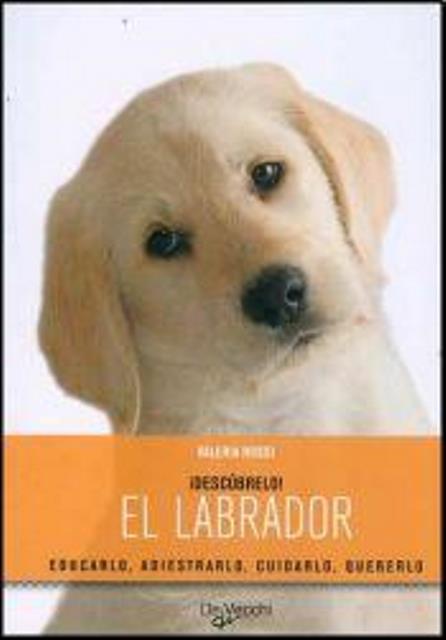 EL LABRADOR DESCUBRELO! . EDUCARLO, ADIESTRARLO, CUIDARLO 