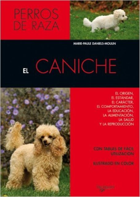 EL CANICHE . PERROS DE RAZA 