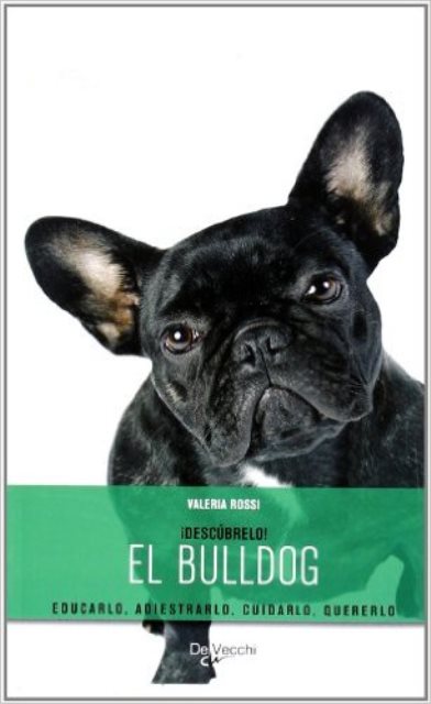 BULLDOG .DESCUBRELO! . EDUCARLO, ADIESTRARLO, CUIDARLO, QUERERLO