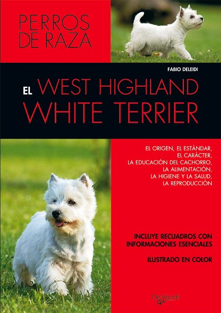 WEST HIGHLAND WHITE TERRIER . PERROS DE RAZA