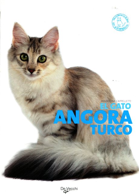 EL GATO ANGORA TURCO 