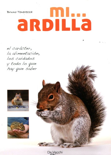 MI ... ARDILLA