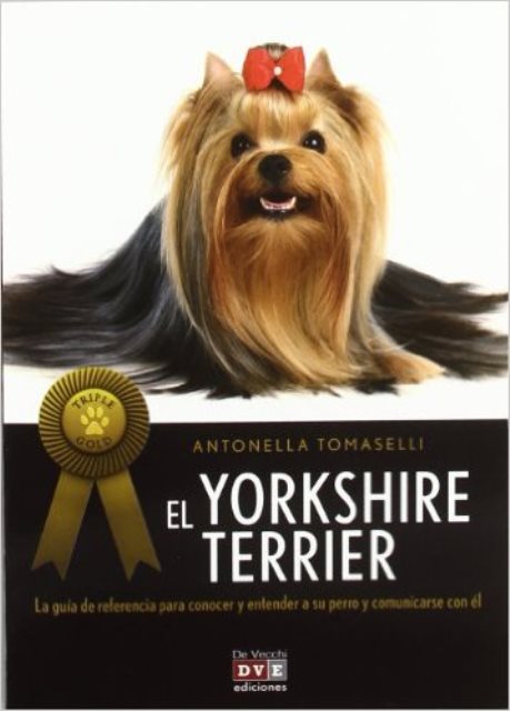 EL YORKSHIRE TERRIER 