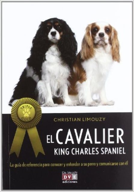 EL CAVALIER KING CHARLES SPANIEL . (TRIPLE GOLD) 