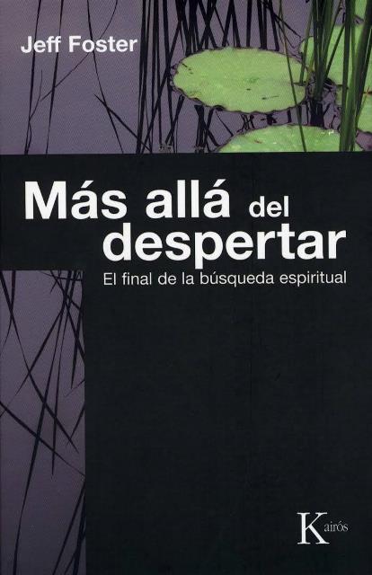 MAS ALLA DEL DESPERTAR . EL FINAL DE LA BUSQUEDA ESPIRITUAL