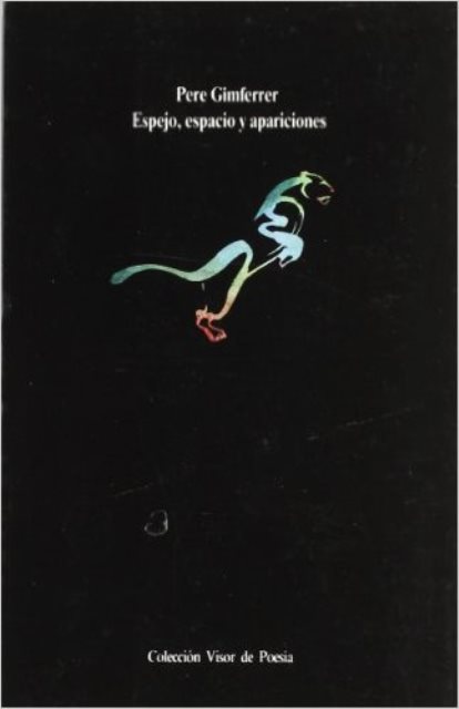 ESPEJO ESPACIO Y APARICIONES