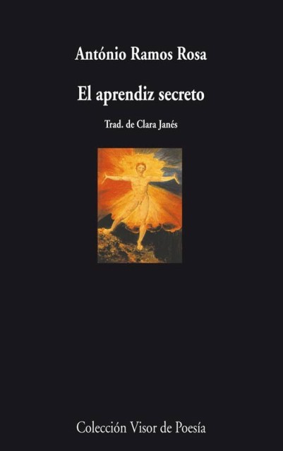 EL APRENDIZ SECRETO 