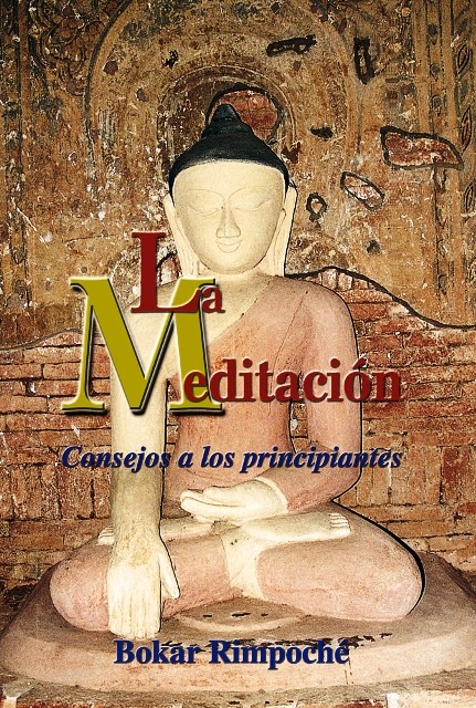 LA MEDITACION (DHA) 