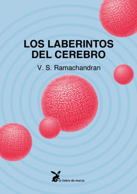 LOS LABERINTOS DEL CEREBRO