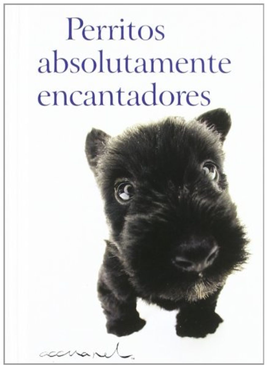 PERRITOS ABSOLUTAMENTE ENCANTADORES