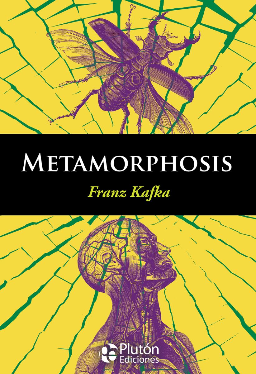 METAMORPHOSIS - ENGLISH