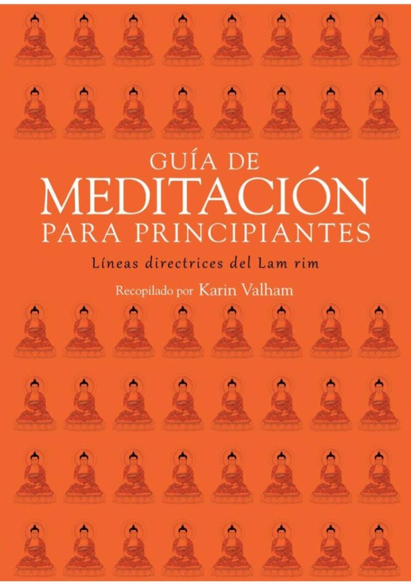 GUIA DE MEDITACION PARA PRINCIPIANTES (NE)
