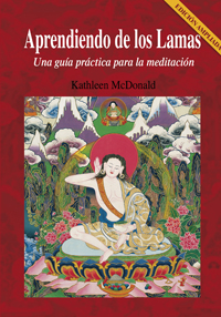 APRENDIENDO DE LOS LAMAS (N.E). UNA GUIA PRACTICA PARA MEDITACION