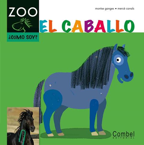 EL CABALLO . COMO SOY? 