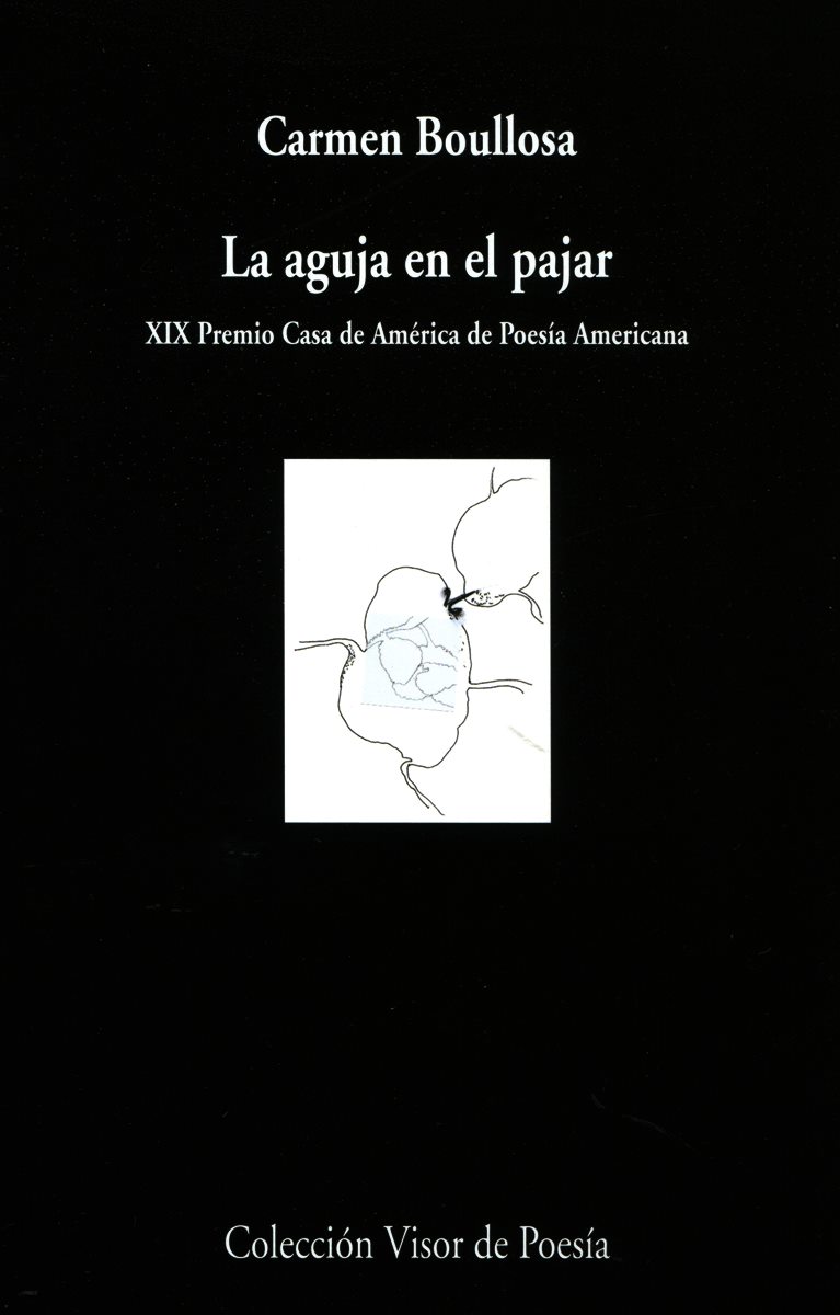 LA AGUJA EN EL PAJAR 