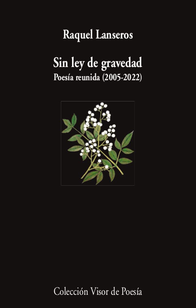 SIN LEY DE GRAVEDAD . POESIA REUNIDA ( 2005 - 2022 )