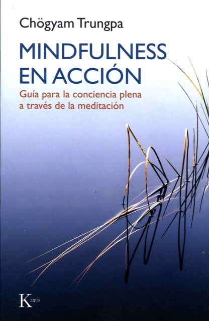 MINDFULNESS EN ACCION . GUIA PARA LA CONCIENCIA PLENA A TRAVES DE LA MEDITACION