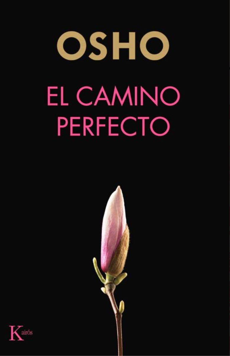 EL CAMINO PERFECTO 