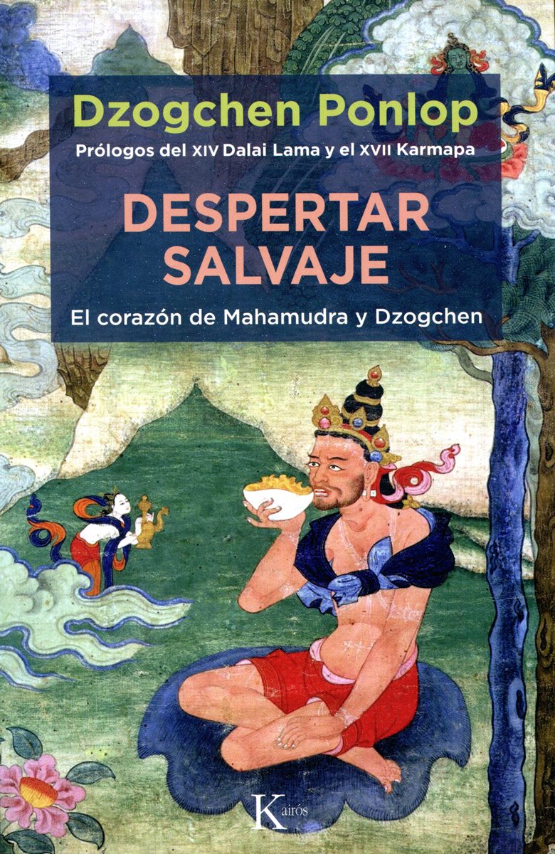 DESPERTAR SALVAJE . EL CORAZON DE MAHAMUDRA Y DZOGCHEN
