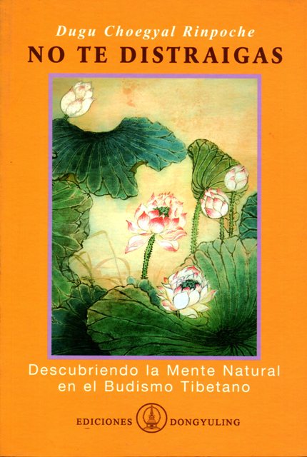 NO TE DISTRAIGAS - DESCUBRIENDO LA MENTE NATURAL EN EL BUDISMO TIBETANO