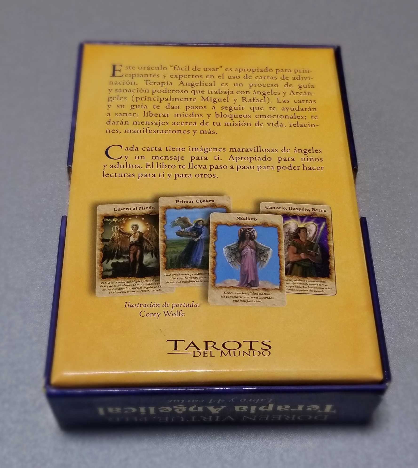 TERAPIA ANGELICAL - LIBRO Y 44 CARTAS