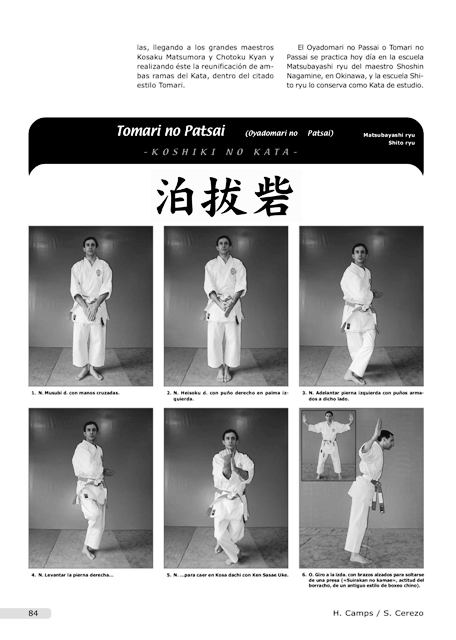 KATAS DE KARATE . ESTUDIO TECNICO COMPARADO