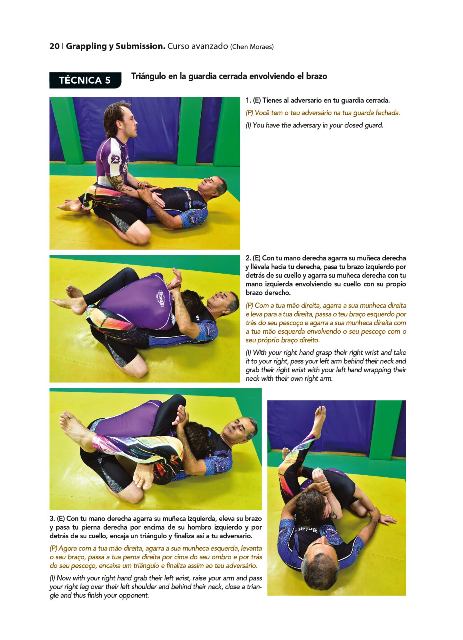 GRAPPLING Y SUBMISSION (CURSO AVANZADO)