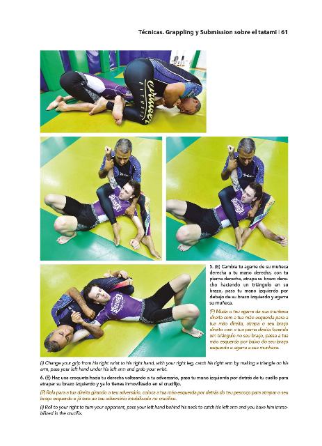 GRAPPLING Y SUBMISSION (CURSO AVANZADO)