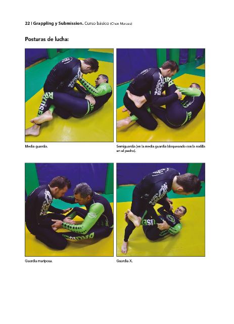 GRAPPLING Y SUBMISSION ( CURSO BASICO )