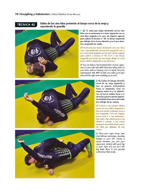 GRAPPLING Y SUBMISSION ( CURSO BASICO )