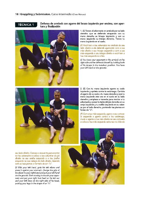 GRAPPLING Y SUBMISSION (CURSO INTERMEDIO)