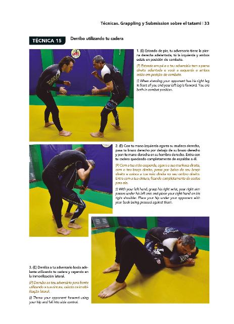 GRAPPLING Y SUBMISSION (CURSO INTERMEDIO)