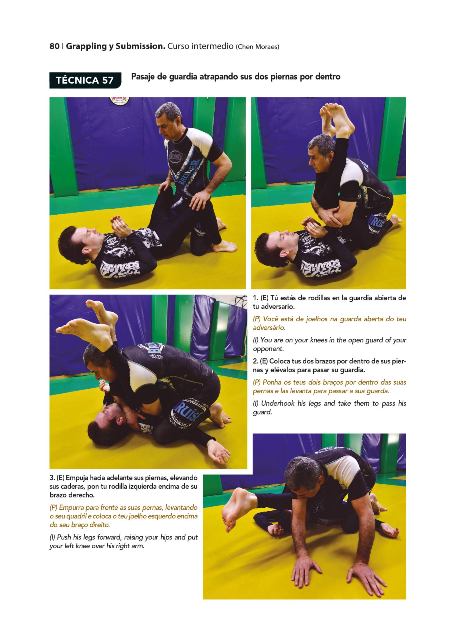 GRAPPLING Y SUBMISSION (CURSO INTERMEDIO)