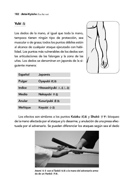 JINTAI KYUSHO . LOS PUNTOS VULNERABLES DEL CUERPO HUMANO