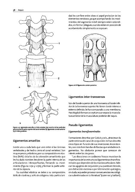 METODO MAIGNE . MEDICINA ORTOPEDICA MANUAL .DOLOR DE ORIGEN VERTEBRAL