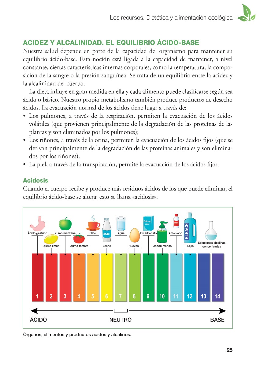 GUIA PRACTICA DE NATUROPATIA (MASTERS BEST)