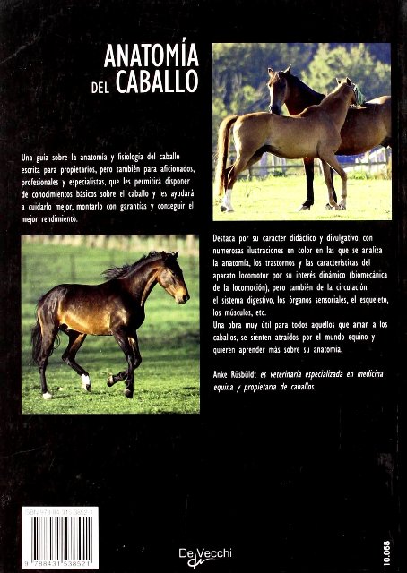 ANATOMIA DEL CABALLO . GUIA PRACTICA ILUSTRADA