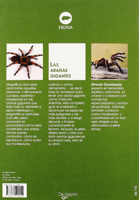 LAS ARAAS GIGANTES 