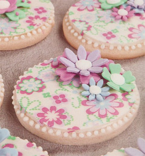 DECORACION DE GALLETAS , GUIA FOTOGRAFICA DE LA